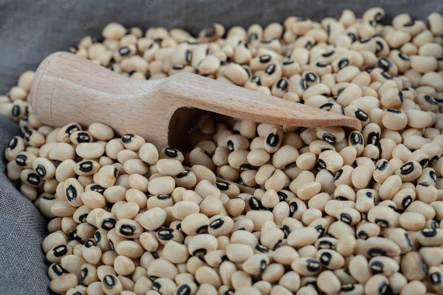 Haricot petit grain